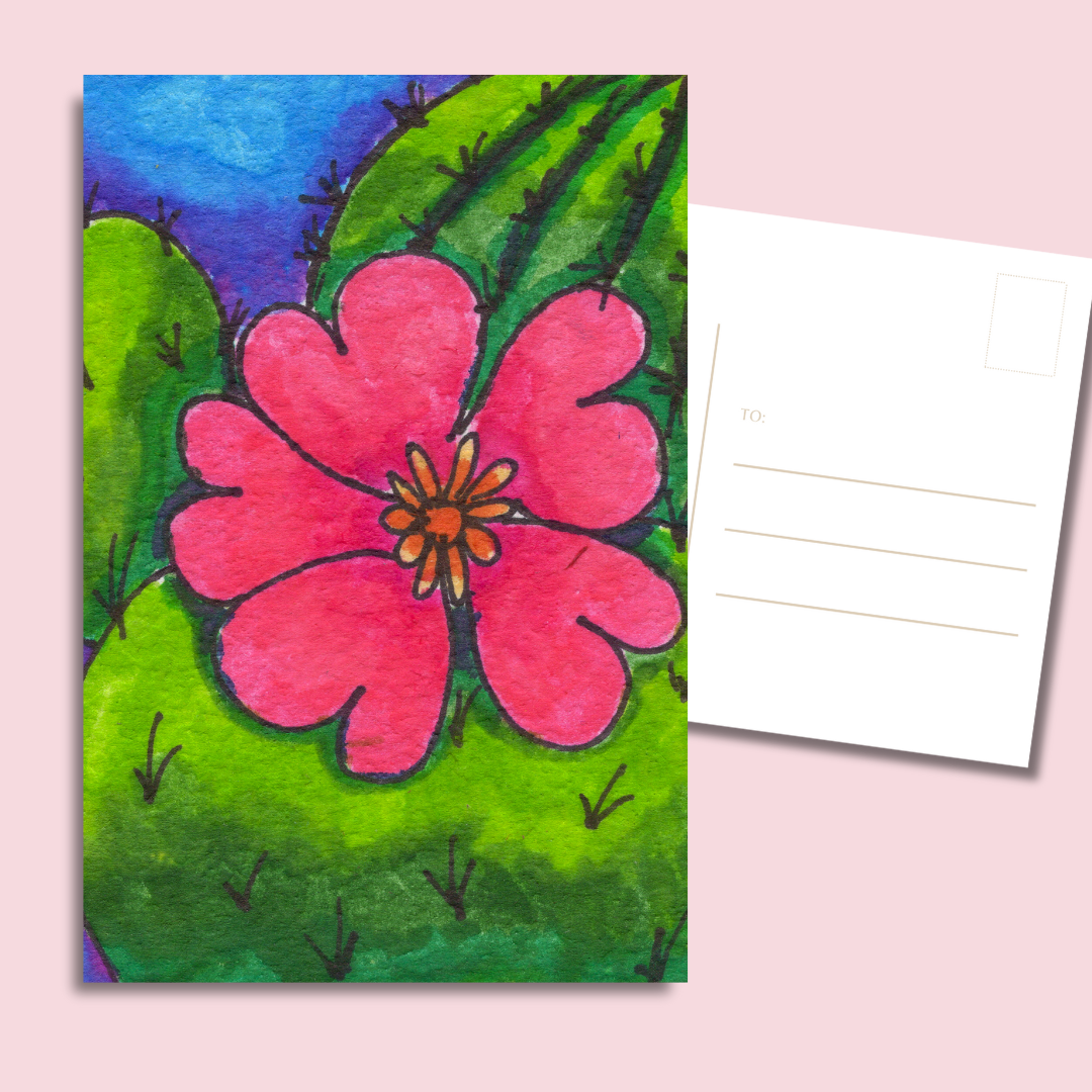 cactus postcard set 4x6 close-up of pink cactus flower on green pads, glossy art card